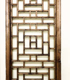 Antique Chinese Screen Panels (3531)(Temple Door), Cunninghamia Wood, 1800-1849