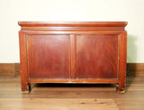 Antique Chinese Treasure Trunk (5552), Zelkova wood, Circa 1800-1849