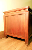 Antique Chinese Treasure Trunk (5552), Zelkova wood, Circa 1800-1849